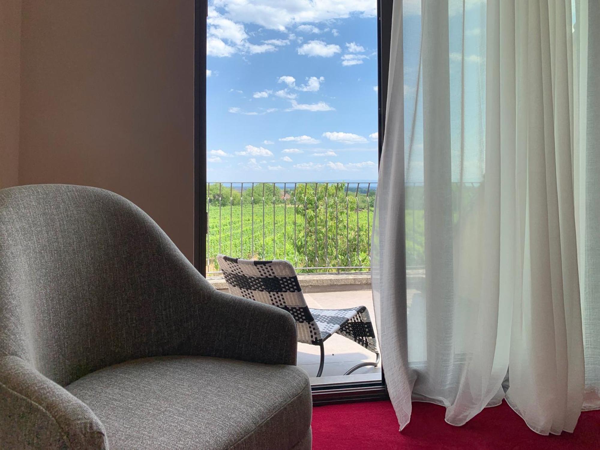 La Tour Des Fees-Spa Mittelbergheim Room photo